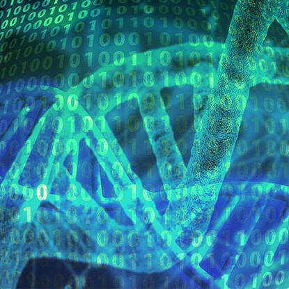 Faith and Science Workshop: Human Evolution