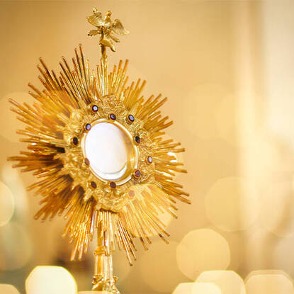 Triduo o Jornada de Oración | Triduum or Days of Prayer