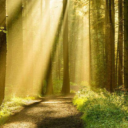 Parish Staff Day of Reflection: Creating Pathways into Parish Life