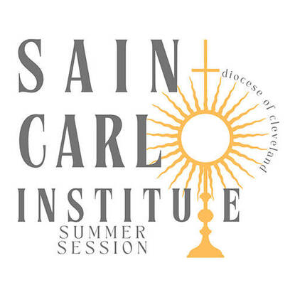 Saint Carlo Institute for Youth Minister Formation - Summer Session