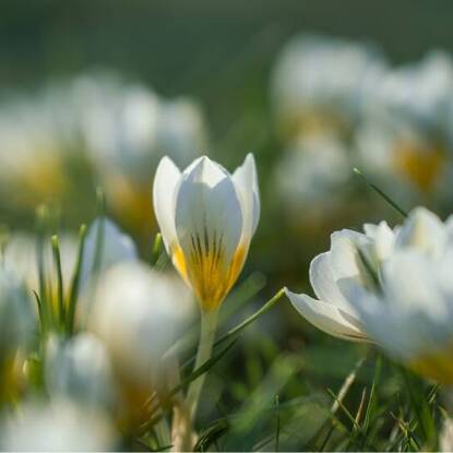 All Life, One Faith: Spring Regional Townhall Conversations