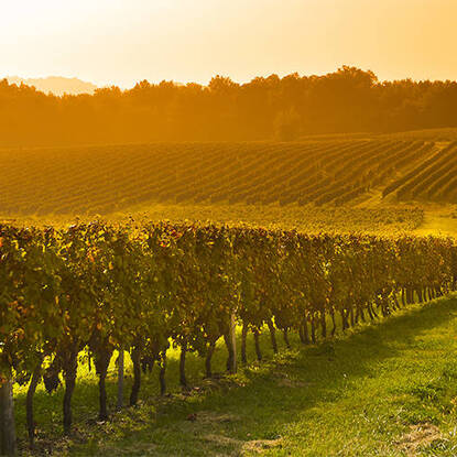 Lay Ecclesial Ministry Information Night