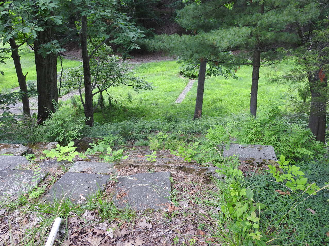 Vincentian Pathways seeks to restore sisters’ former gardens, walking paths in Bedford