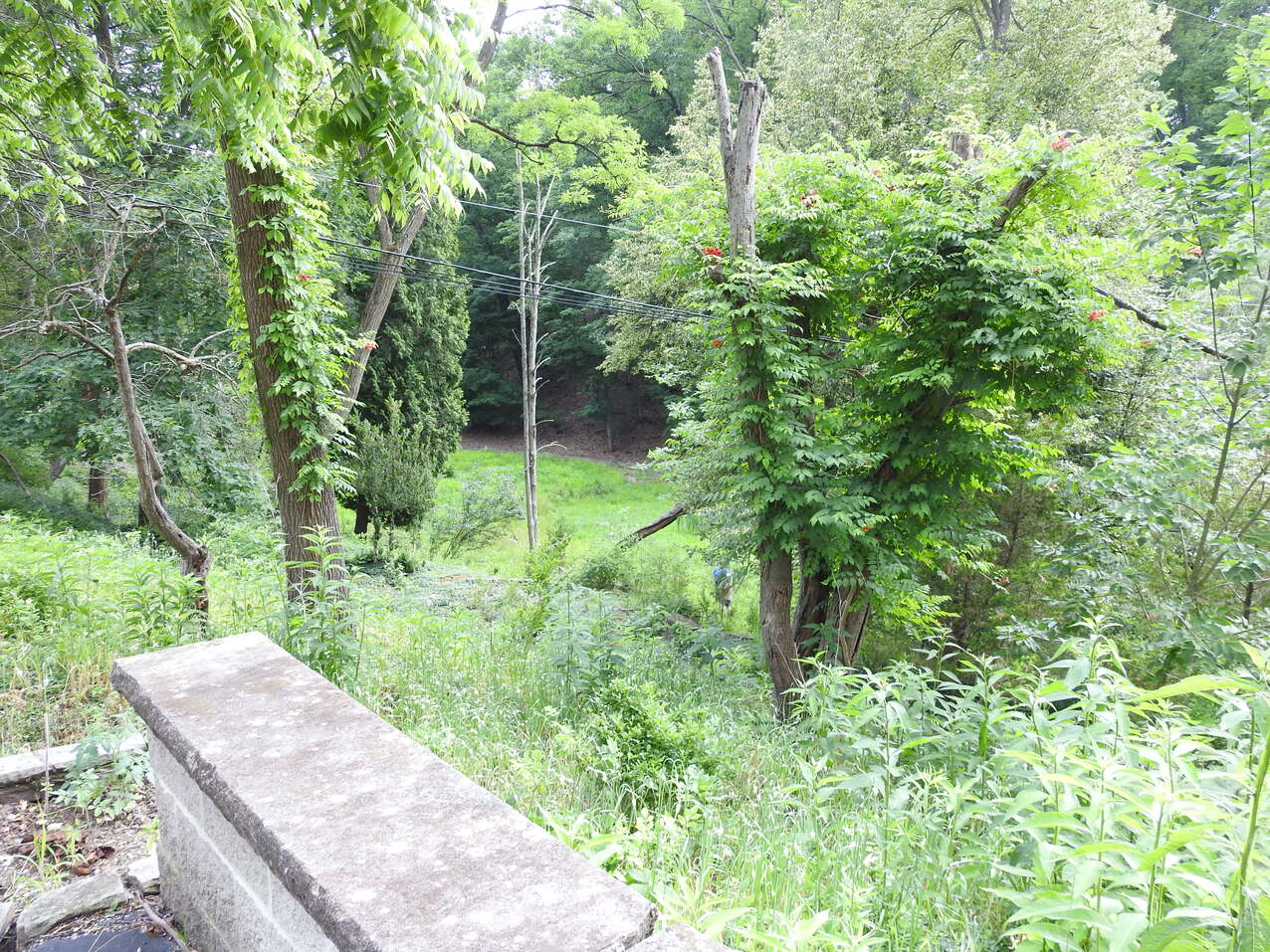 Vincentian Pathways seeks to restore sisters’ former gardens, walking paths in Bedford