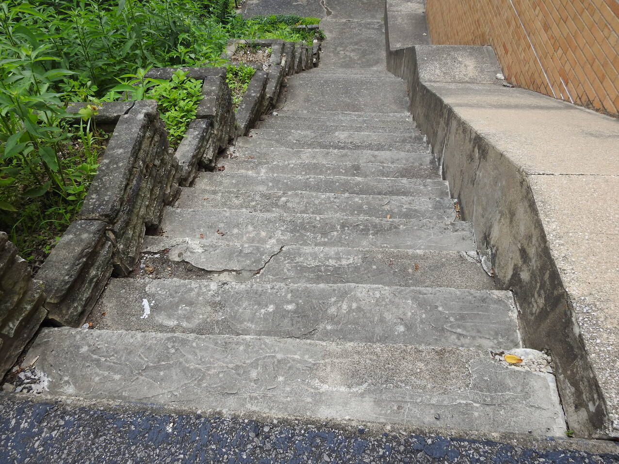 Vincentian Pathways seeks to restore sisters’ former gardens, walking paths in Bedford