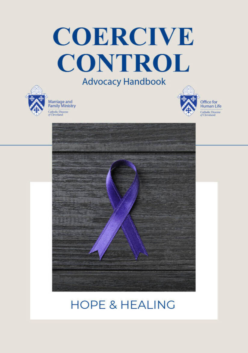 Frontcoverofthecoercivecontroladvocacyhandbook