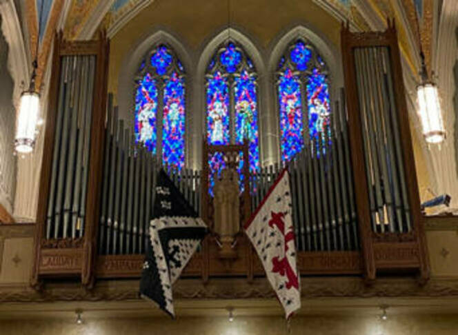 Organ pipes